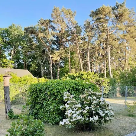 In Usedom Lejlighed *